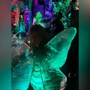 Butterfly costume dress and light up wings